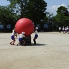 体育祭に向けて〜大玉送り・綱引き〜