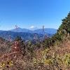 富士山から南アルプスまで　高尾山