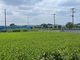 鉄へ歩く【横浜青葉】