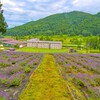 斑尾高原のラベンダー畑(長野県信濃町)～つくば市とその周辺の風景写真案内（８４７）