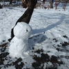 京都の雪景色・愛らしい雪だるま図鑑