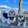 1週間って…
