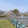 水と緑の里公園のサクラ（2022）～つくば市とその周辺の風景写真案内（７３９）