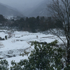 愛媛県東温市　川内町井内の雪の棚田