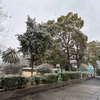 雪