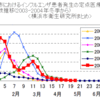 結果的に正しかった日本の対応