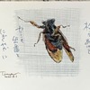 梅雨あけて　セミも出番と　にぎやかに