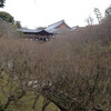 また京都に行ってきました。