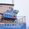 枕崎お魚センターのカツオがむっちゃ美味かった
