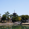 久しぶりの家族旅行 〜奈良・興福寺