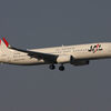  JC JA319J B737-800(wl)