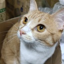 pc_sugiの「目指せ！Junker！」～Part2の続き～