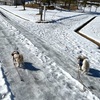 お散歩 in あさひな湖畔公園〜銀世界