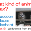 QUIZ