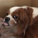 南の島のブログ