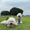 2024年6月 ついていない