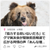 【まさにクマイシス？！……11/15ー16　猟友会「出動要請拒否」報道が波紋、発砲処分は「警察側の責任回避」】#685