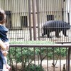 Hinachan の 動物園 デビュー ⑦　ベアーストリート