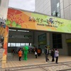確定申告