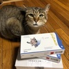 今年もフィラリア注意の季節がやってきた　～strongholdが到着～