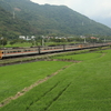 台湾鉄道撮影　台東線　海端-關山　花東公路陸橋