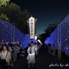 『平城京天平祭☆夏』　８月２４日