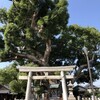 「村上社のクスノキ」〜「桜田八幡社」（名古屋市南区）