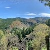 神社仏閣巡りin奈良和歌山③吉野山、前編