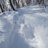 ◆'21/01/05  大山公園～八森山～高館山③