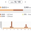 高タンパク質低炭水化物の食事と手足ブラブラのランニングエコノミーを意識して坂のフルコースPart１改を走った。