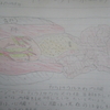 生理画・ティラノサウルスの内臓