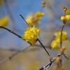 向島百花園