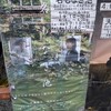 岐阜県関市に2000万円返還するかが話題の映画『名もなき池』を観た感想のメモ