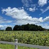 土曜日　多古から神崎