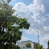 今日は短めです