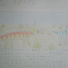 狩り２恐竜解説