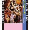 スティーヴ・エリクソン「ルビコン・ビーチ」