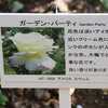 双松バラ園　４（最終）