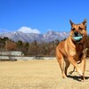 ルーキーと山梨デイトリップ