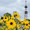 赤平・札幌の旅【3日目】札幌で『水曜どうでしょう』と『ゴールデンカムイ』探訪