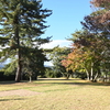 三重（伊賀）にきました