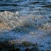 凍りはじめた網走湖