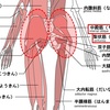 原因不明の腰痛 ②～腰痛の原因はお尻、腰まわりの筋肉が硬くなること！？～