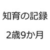 知育の記録を振り返ってみました。2016年8月、娘2歳9か月。