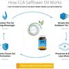 CLA Safflower Oil Side Effects and Benefits