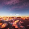 Project Wingman その2