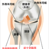 改定版　膝のケガ予防　ガード予備知識編
