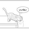 思案する猫