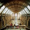 【展示も建築も大迫力！】ロンドン自然史博物館の見どころをご紹介