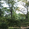 神代植物公園_秋の気配(東京都調布市)